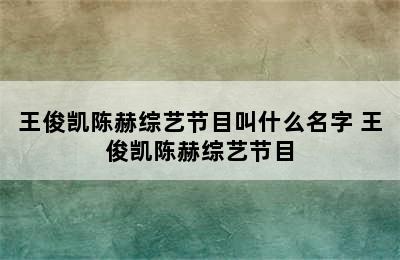 王俊凯陈赫综艺节目叫什么名字 王俊凯陈赫综艺节目